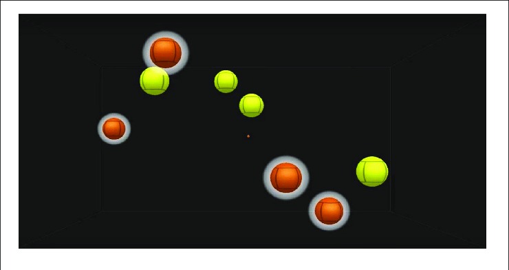 photo activite Rika Uchino