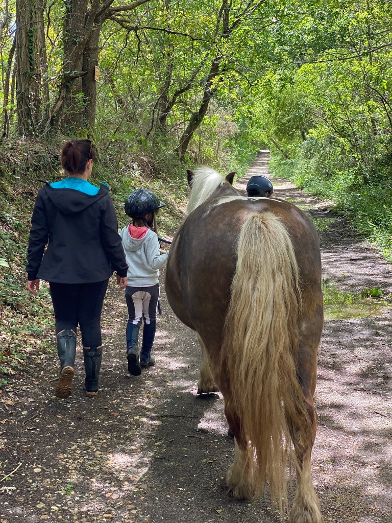 photo activite Céline Gruillot Equithérapie