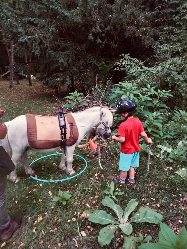 photo seance Céline Gruillot Equithérapie