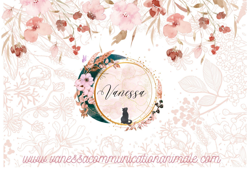 photo activite Vanessa Communication Animale