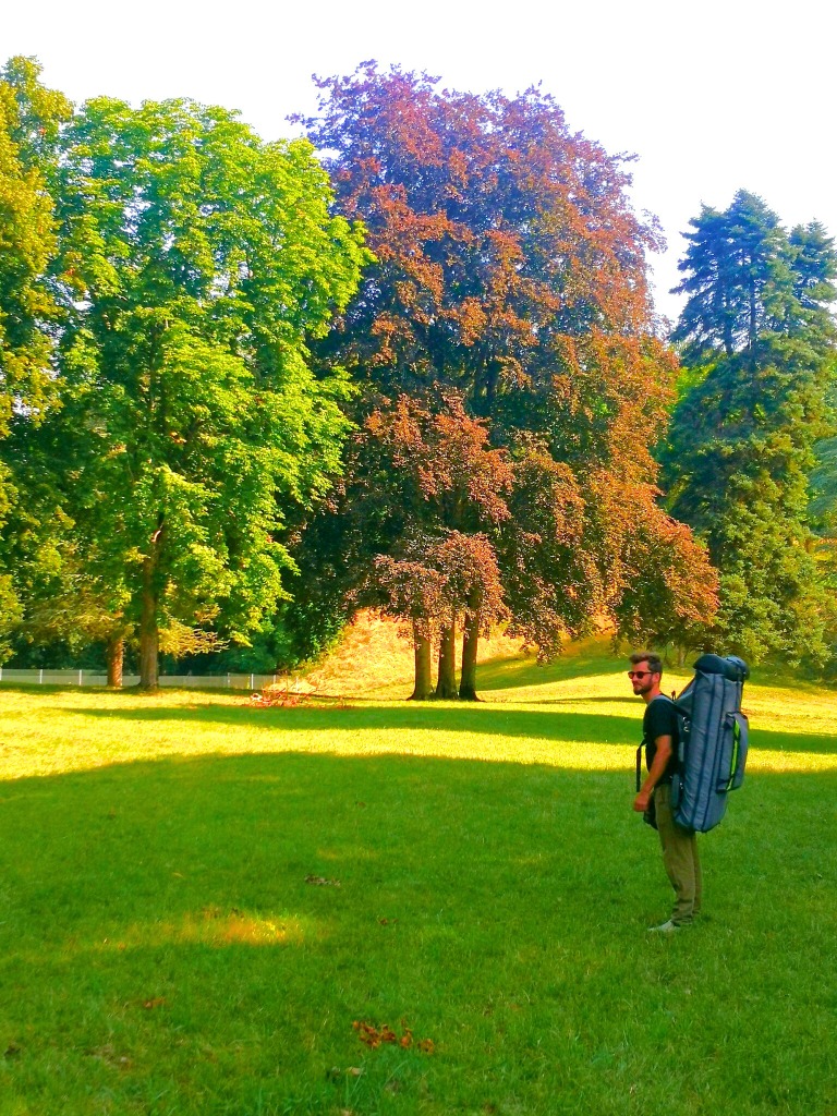 photo activite Simon Vitet