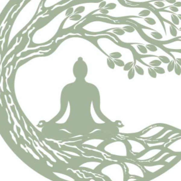 Les chemins du Mieux Être 