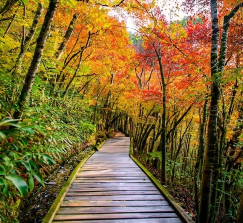 photo cabinet Les chemins du Mieux Être 