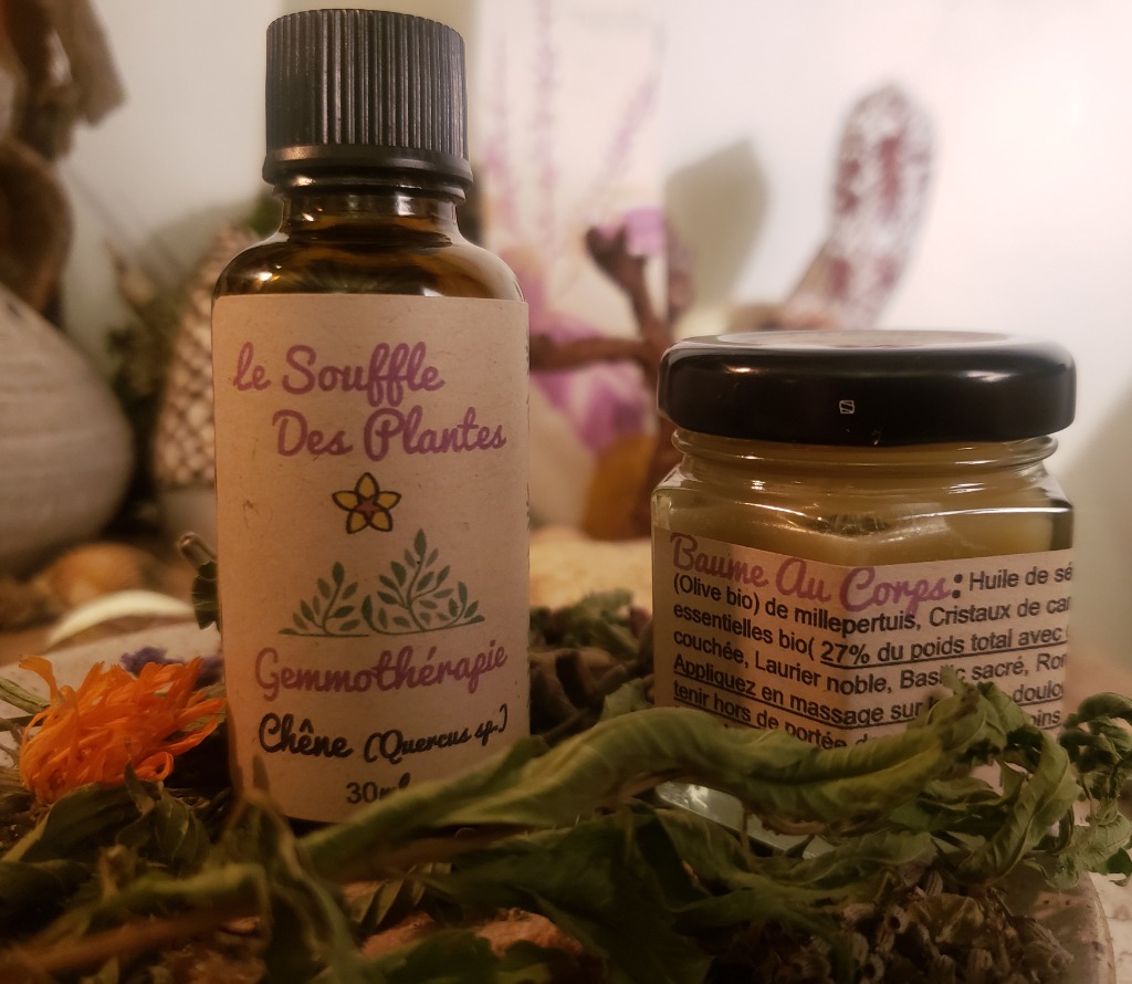 photo activite François Lhotellier