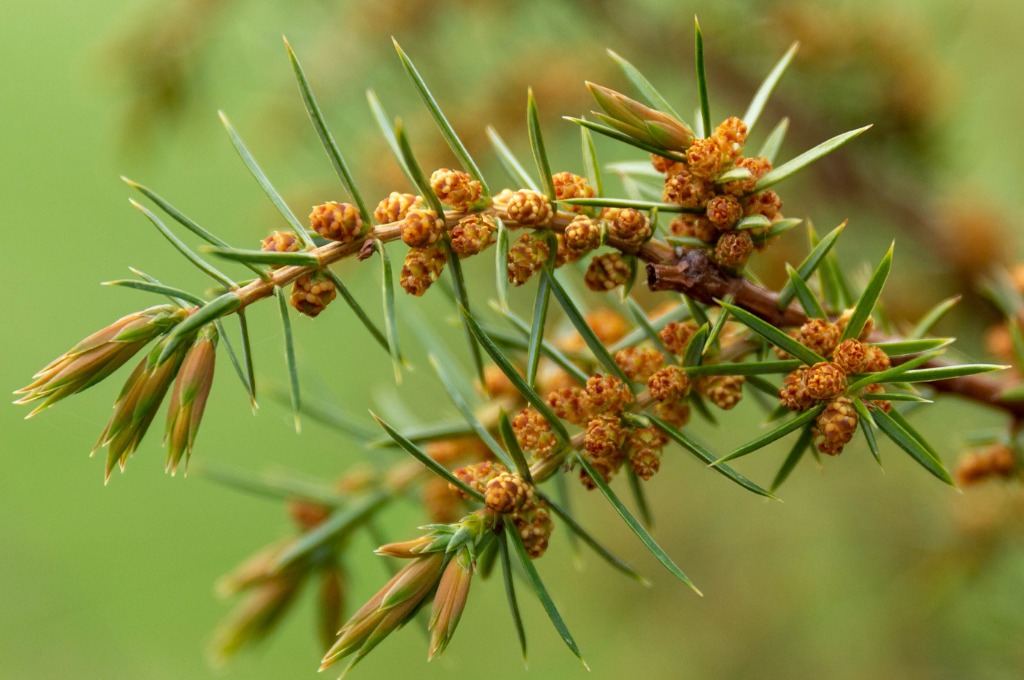 photo seance François Lhotellier