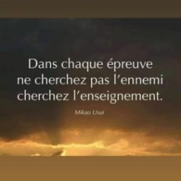 photo portrait Ingrid Delannoy