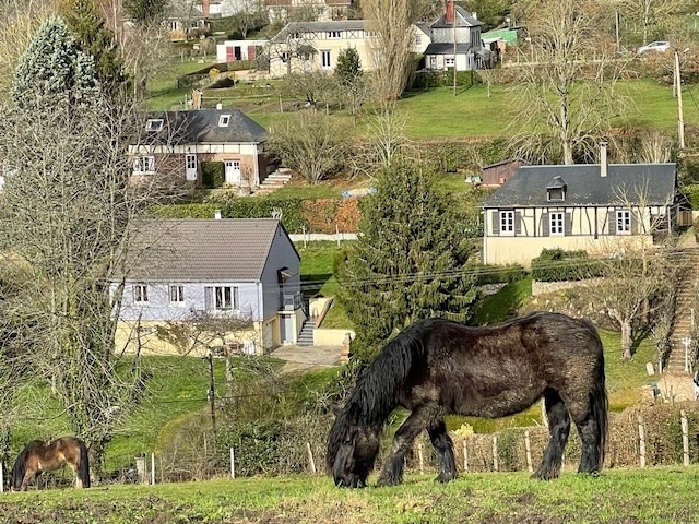photo cabinet DELARUE