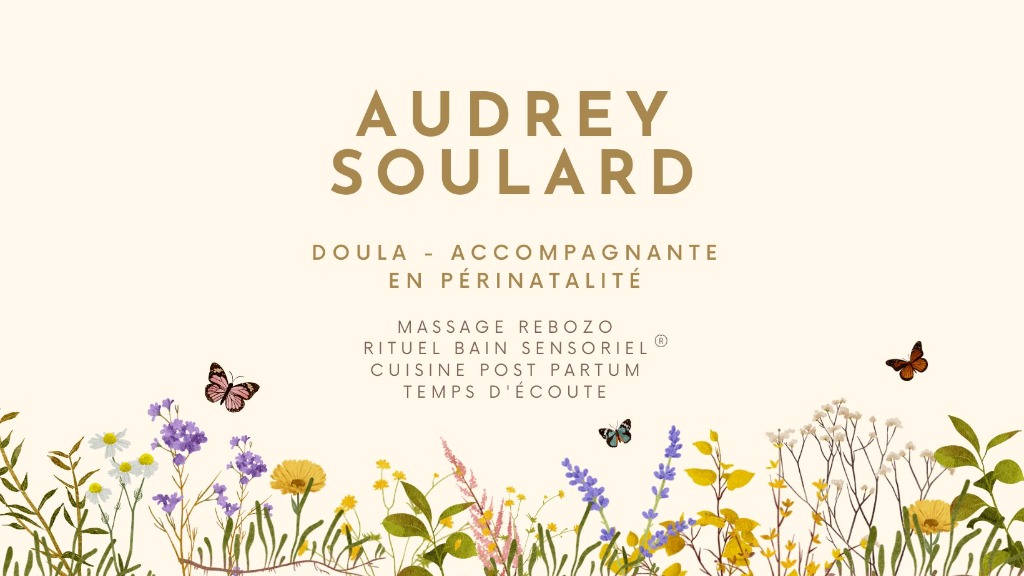 photo cabinet Audrey soulard