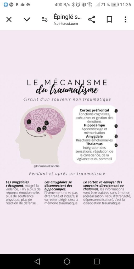 photo activite Ludovic Guyot