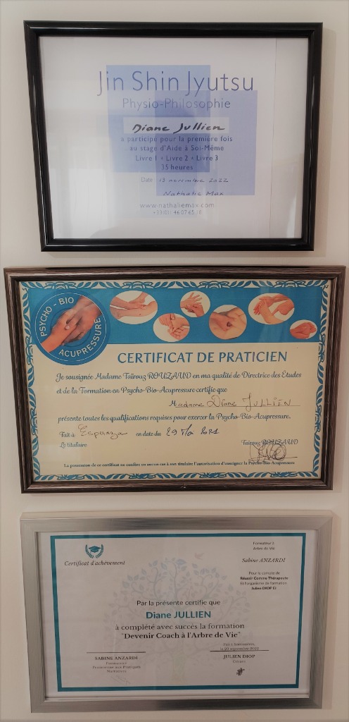 photo diplome Diane Jullien
