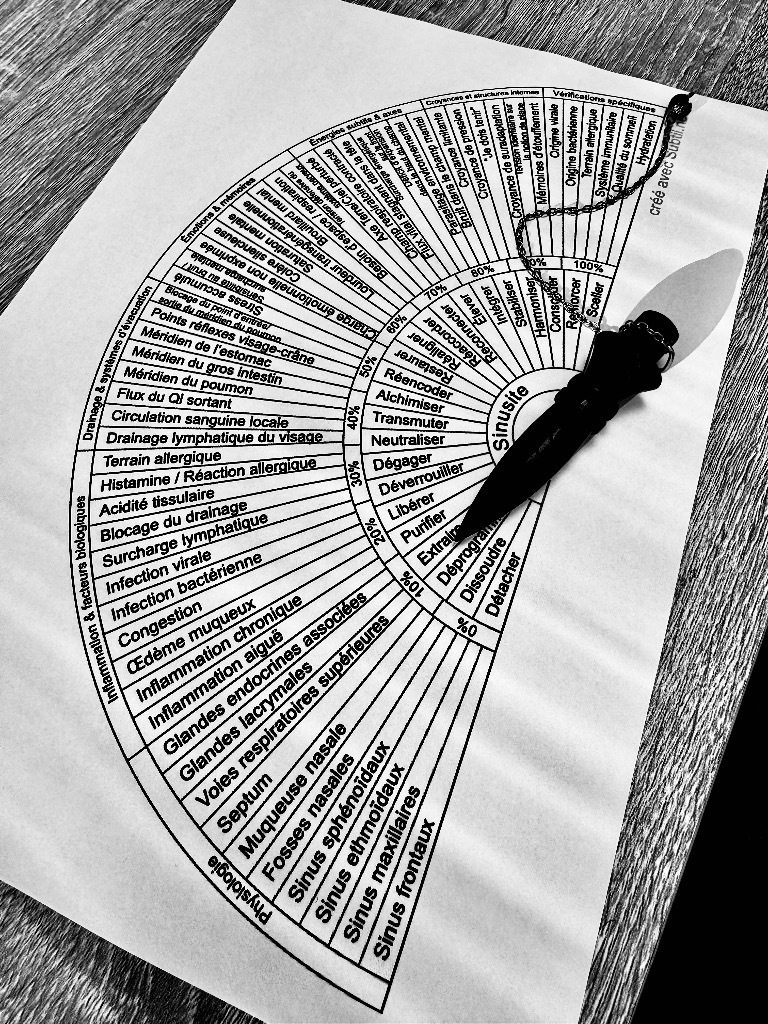 photo activite Xavier A - Magnetiseur