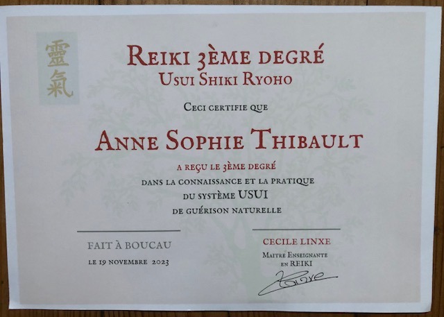 photo diplome Anne-Sophie Thibault