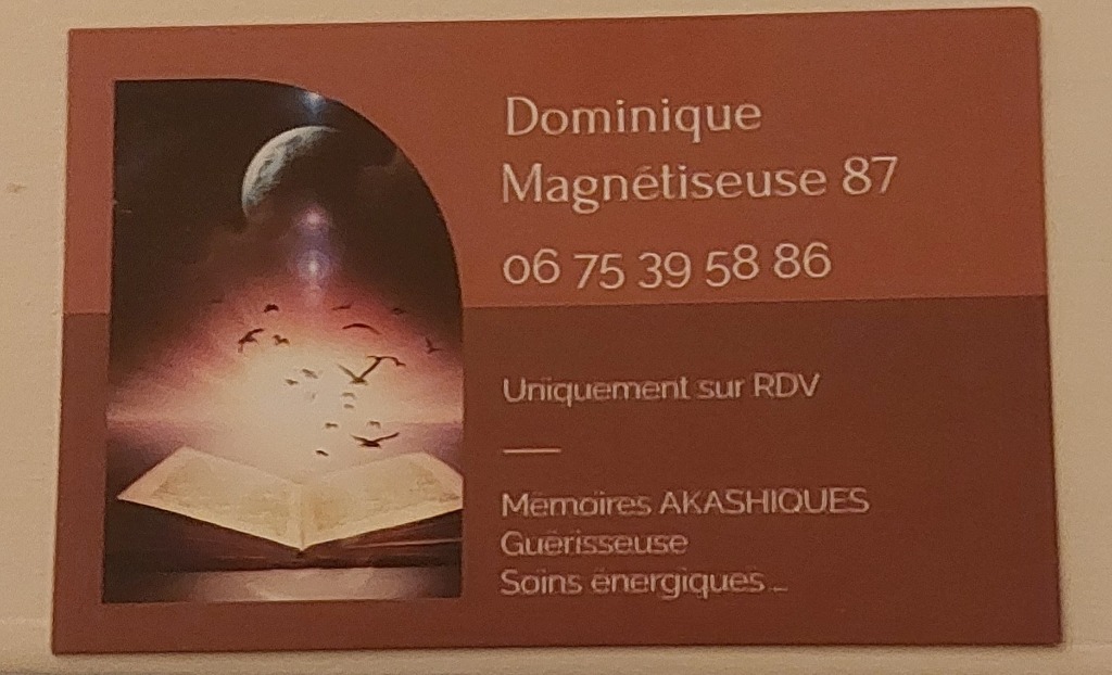 photo activite Dominique GUIOT