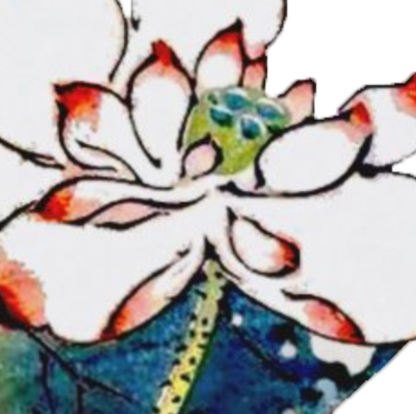 SAN BAO - Soins Energétiques Traditionnels Chinois