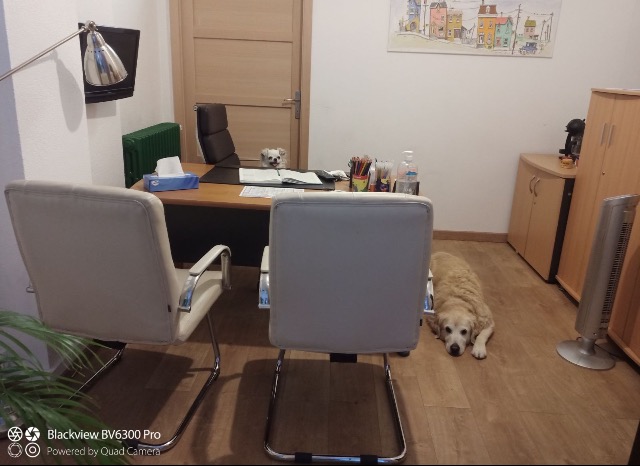 photo cabinet François Olmi