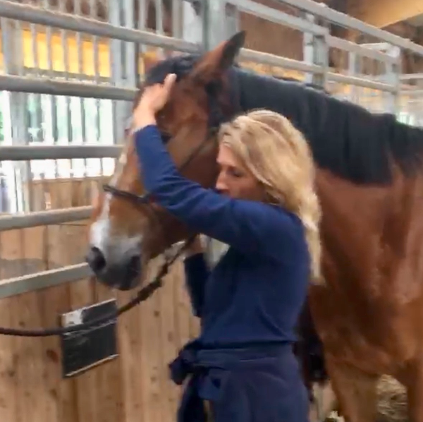 Shiatsu équin - Dr Marylise POMPIGNAC (PhD)