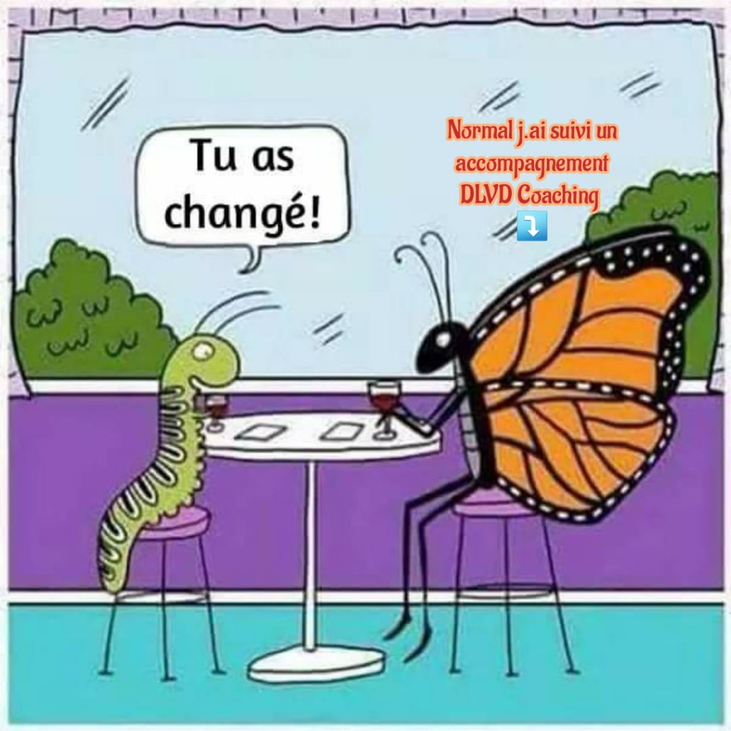 photo seance DLVD Coaching