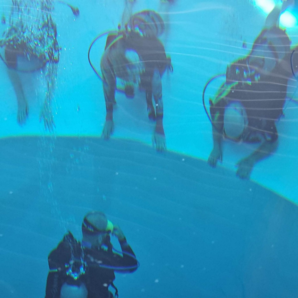 photo seance Samuel Bloch 