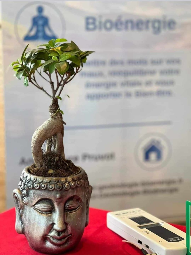 photo cabinet Anne-Laure Pruvot