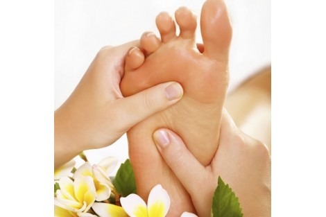 photo activite Dominique AUMON