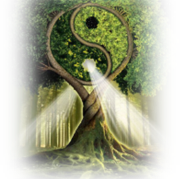 Sandrine Kinésiologie