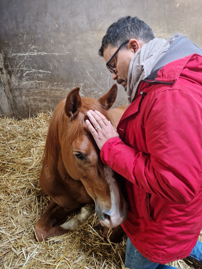photo activite SANDRO AZZOLINA-FONTAINE