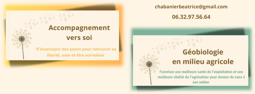 photo activite Béatrice CHABANIER