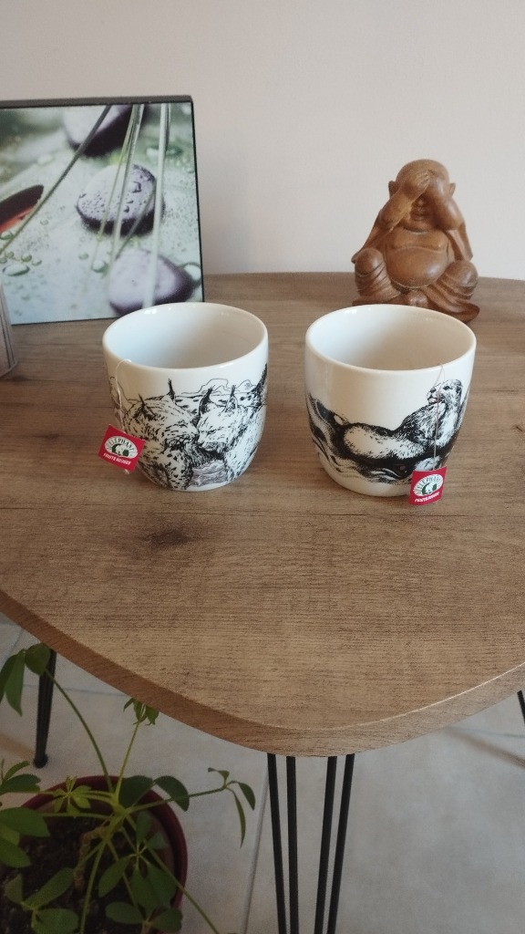 photo seance Angélique Paeile