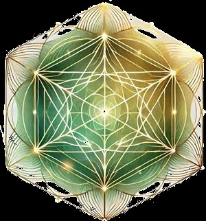 photo diplome Virginie Sarrazin