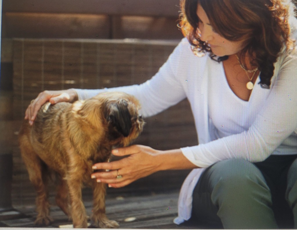 photo seance Karine Delrieu