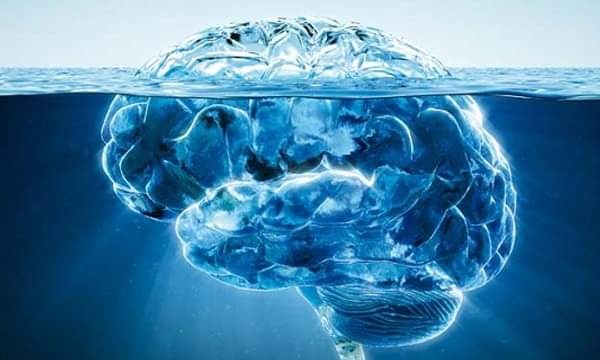 photo activite Karine Robin (hypnews.fr)