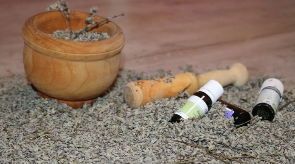 photo activite Elodie DI TULLIO 