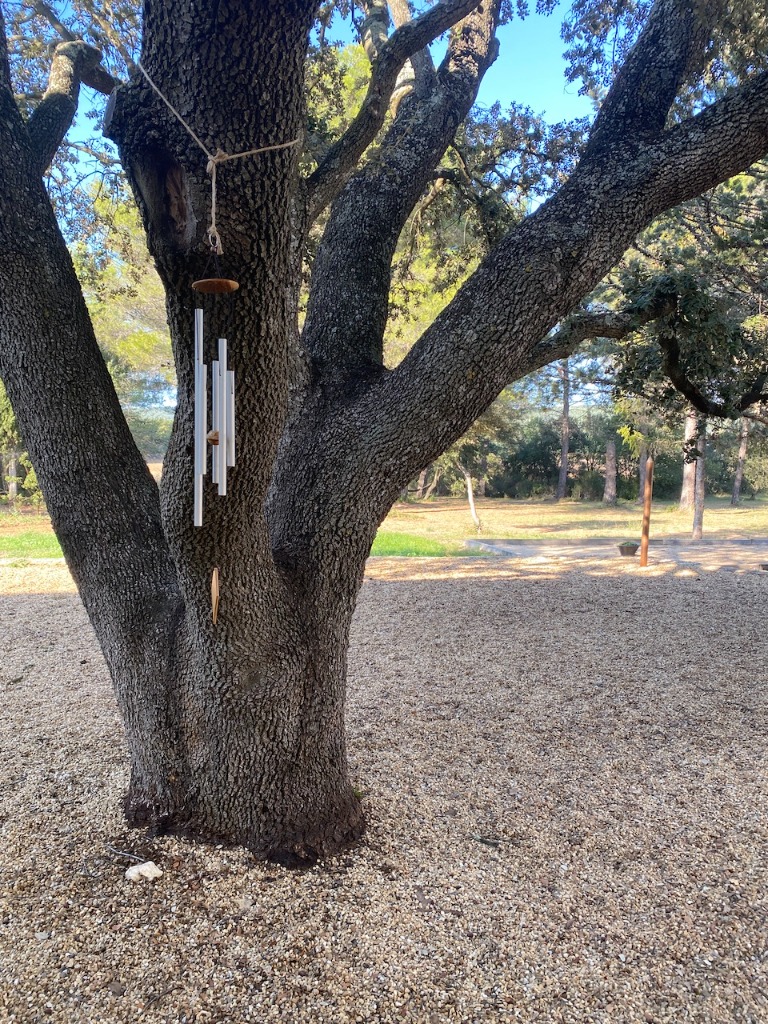 photo activite Gilles gindro