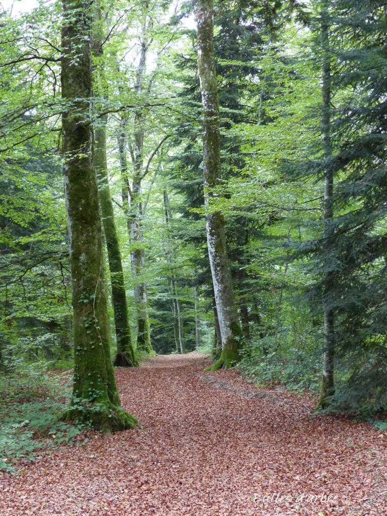 photo cabinet Valérie cadet