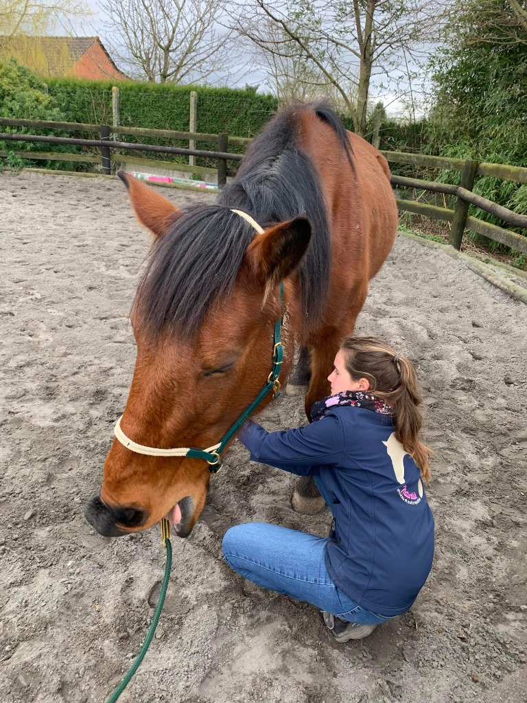 photo seance Laura Joos - Naturisis