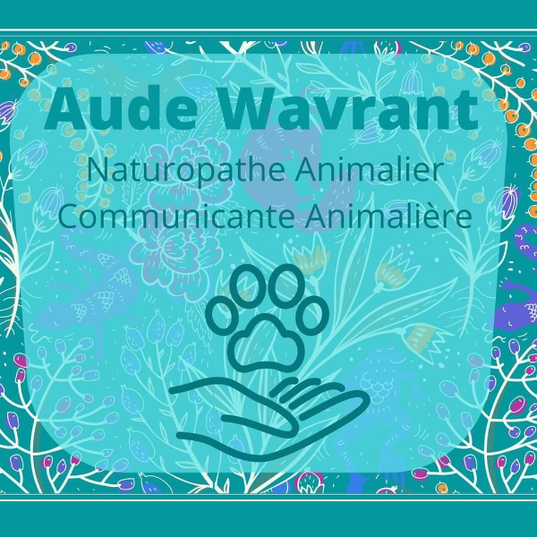 1001 pattes sacrées 