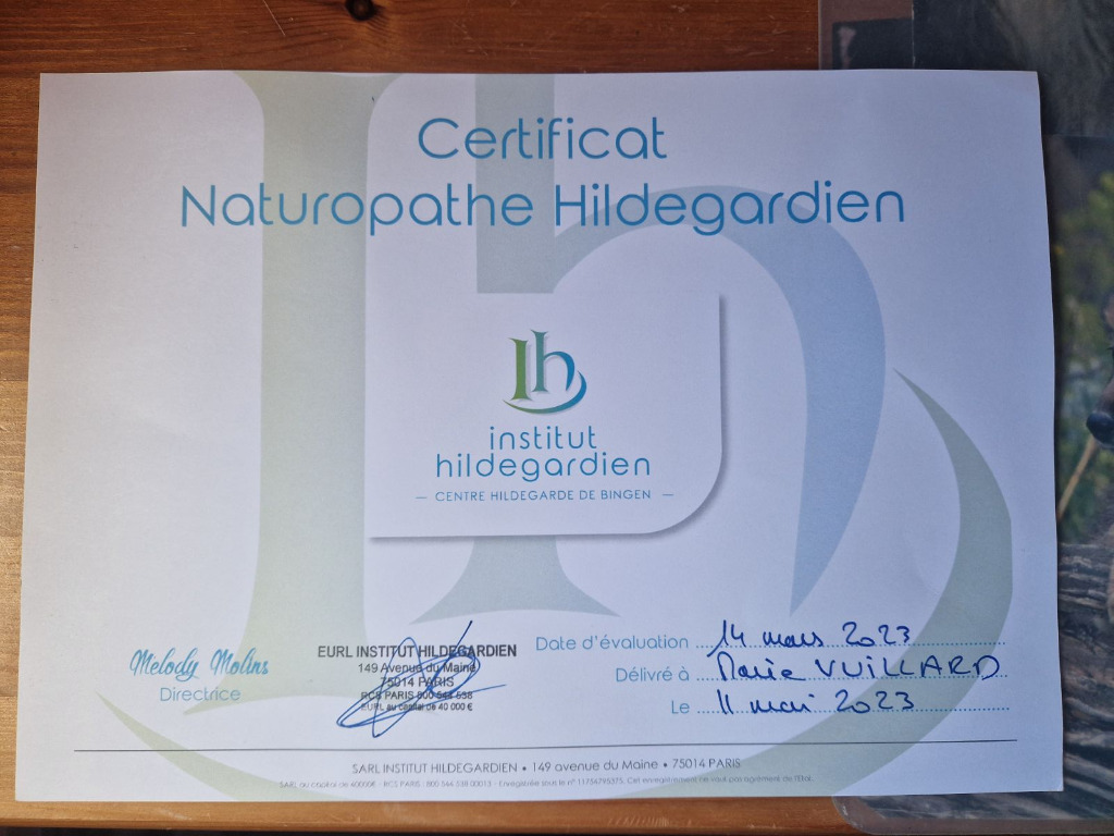 photo cabinet VUILLARD Marie