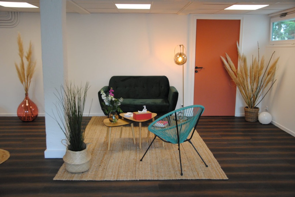 photo cabinet Moulineau 