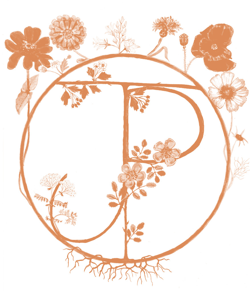 photo activite Julie Peschier Naturopathe