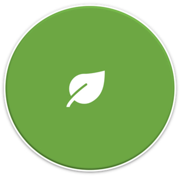 COSSET-LEFEBURE Aurore