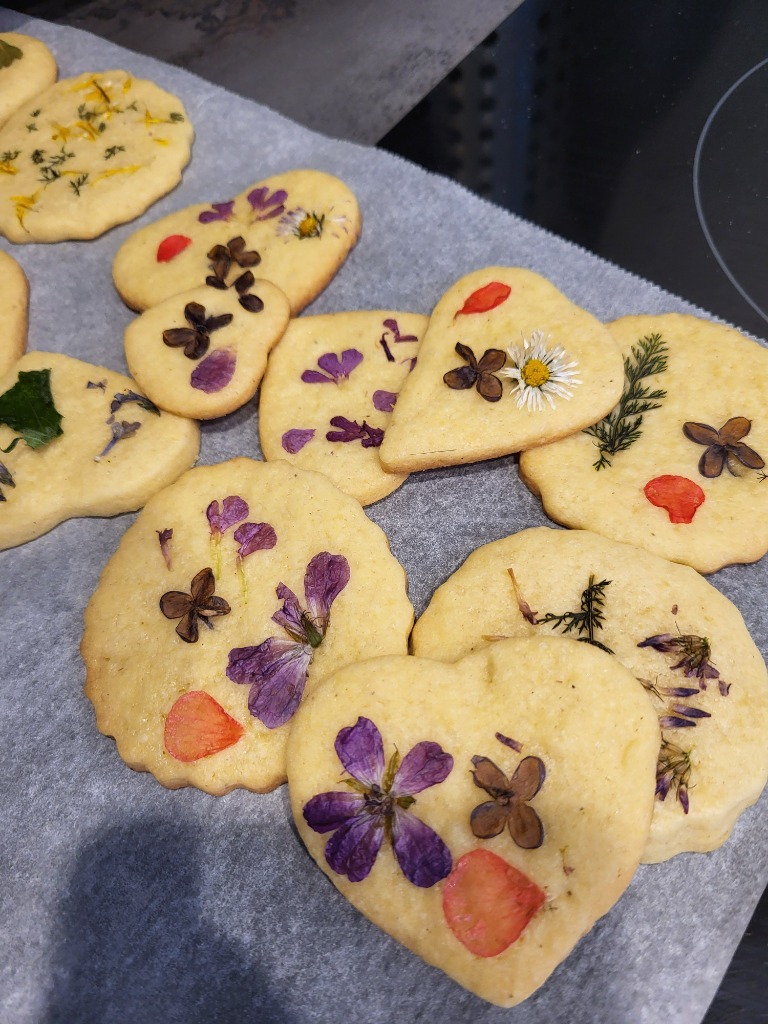 photo seance Aurore Roussillon Or’igine Naturopathe