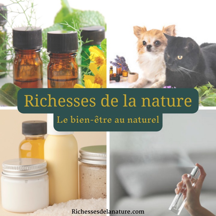 photo activite Audrey Guionnet