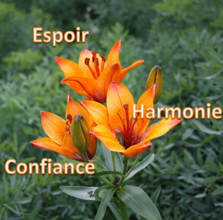 photo activite Christian HOUBART