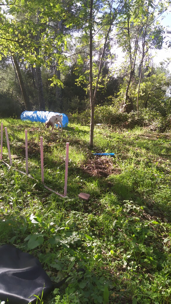 photo cabinet Les Doux Ani-Maux 