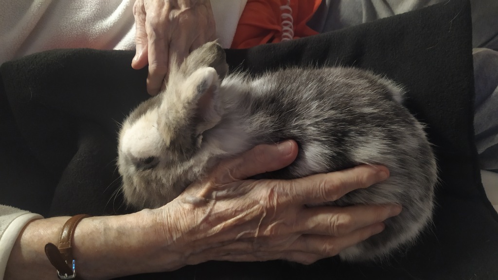 photo seance Les Doux Ani-Maux 