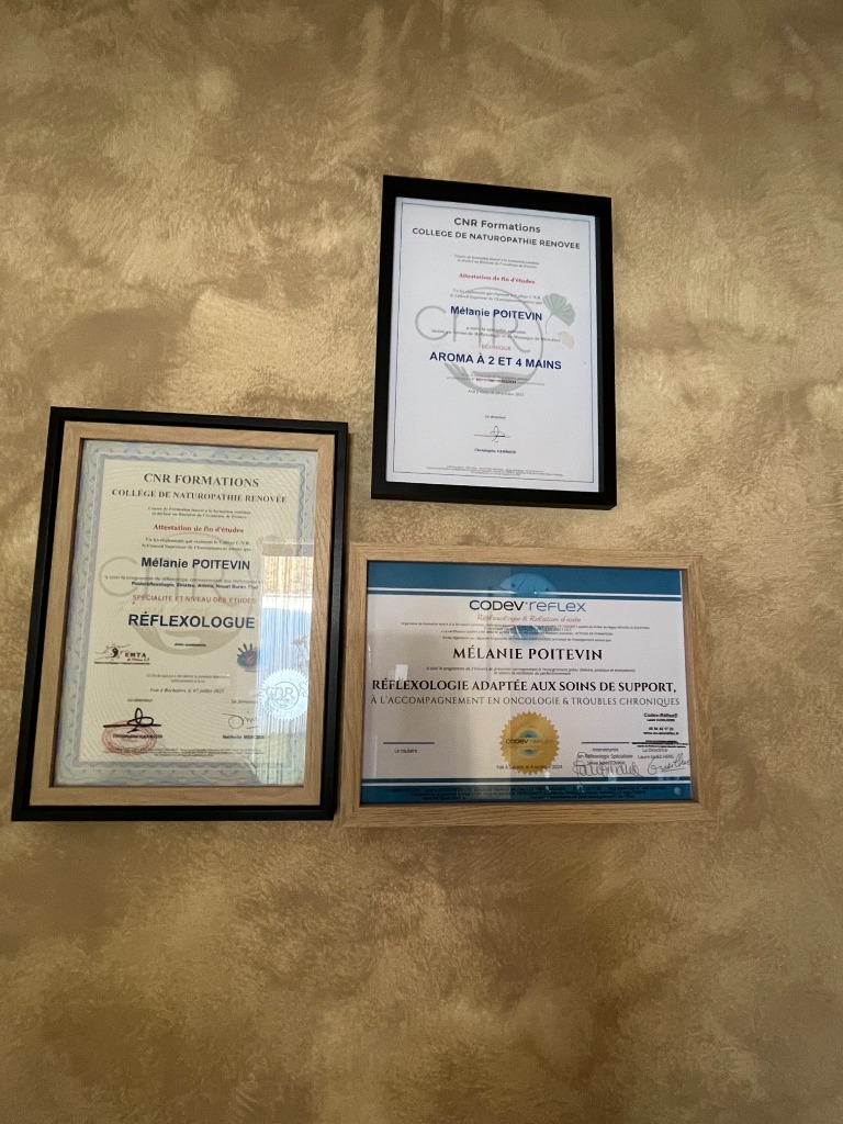 photo diplome Mel’reflexo