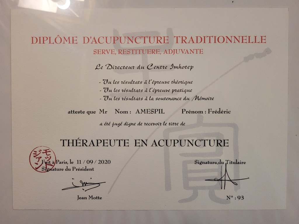 photo diplome Frédéric AMESPIL - EI