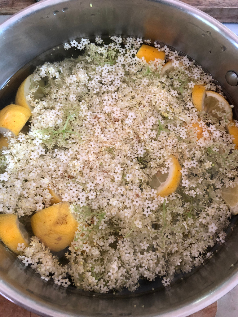 photo diplome Christelle Blanc Naturopathe