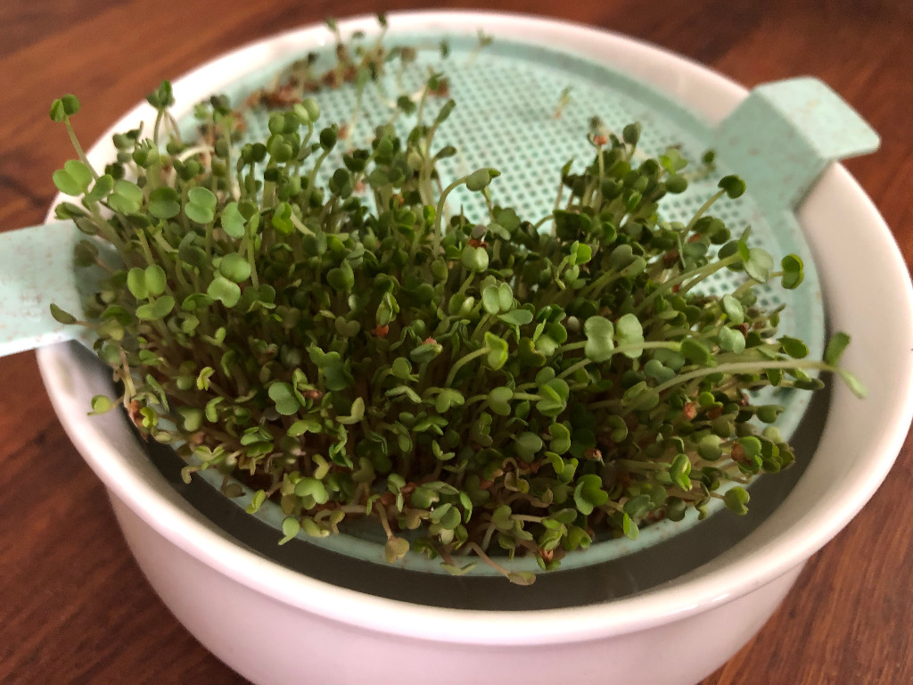 photo seance Christelle Blanc Naturopathe