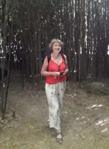 photo activite Bernadette CARPENTIER